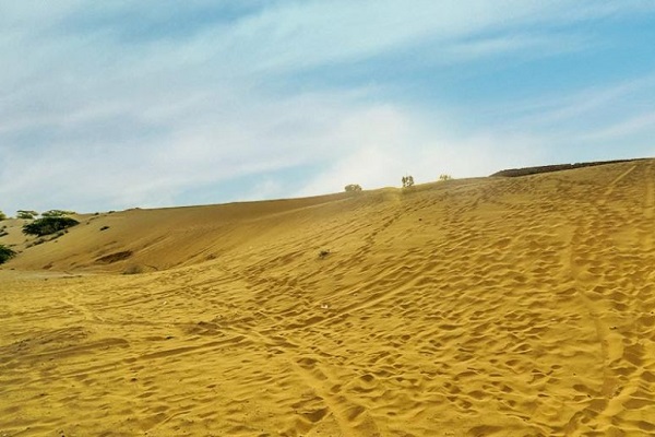 Mahabar sand dunes Thar Desert sunset Barmer